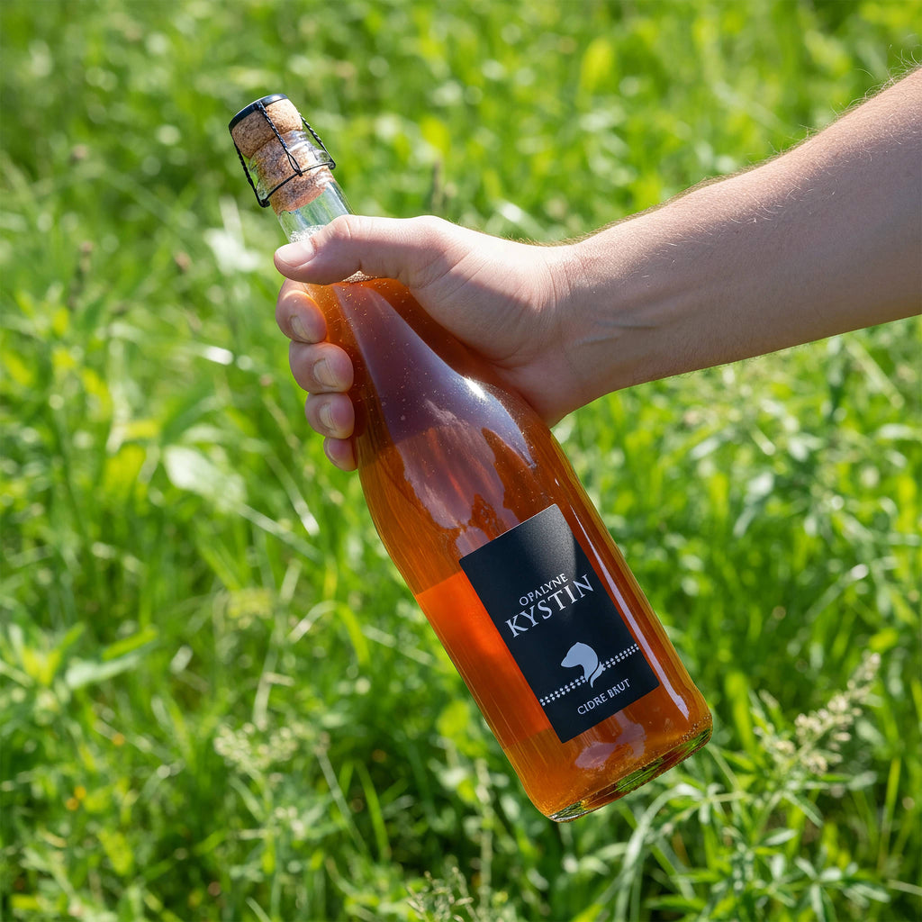 Opalyne – Cidre Brut 5° – Colis de 6 bouteilles de 75cL