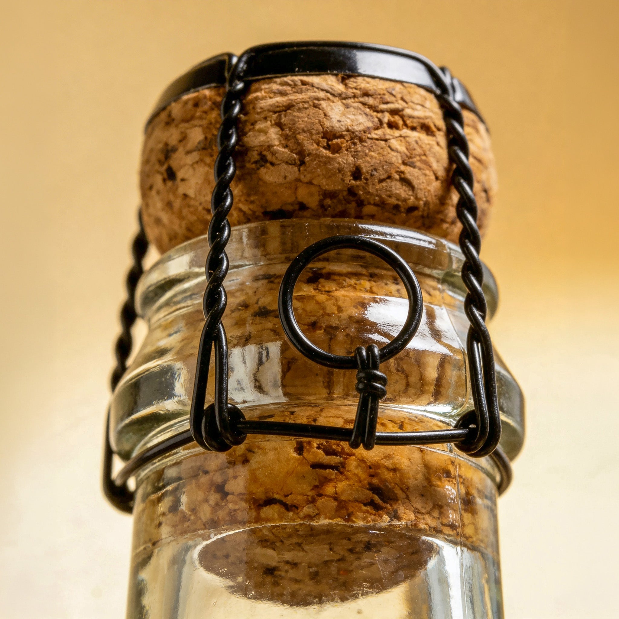 Cidre au Sarrasin BIO - Colis de 6 bouteilles de 75cL