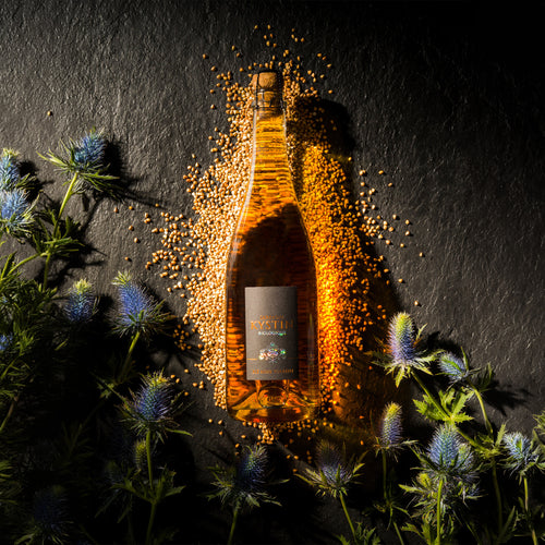 Cidre au Sarrasin BIO - Colis de 6 bouteilles de 75cL